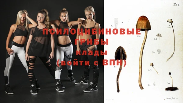 хмурый Алзамай