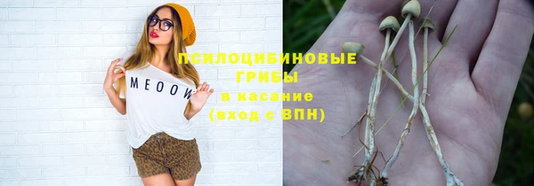 2c-b Алексеевка